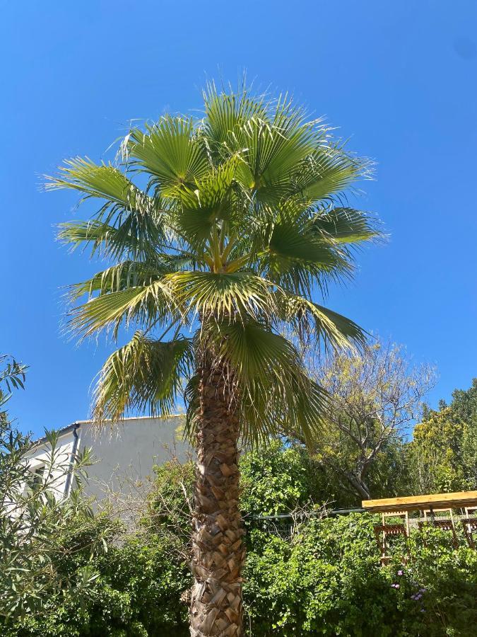 Gite Le Palmier - Perfectly Located Cosy Studio With Private Garden Puissalicon Eksteriør billede
