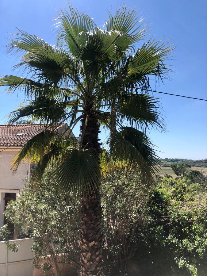 Gite Le Palmier - Perfectly Located Cosy Studio With Private Garden Puissalicon Eksteriør billede