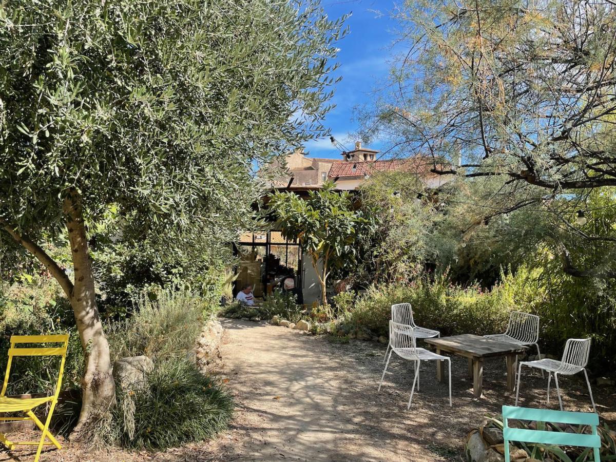 Gite Le Palmier - Perfectly Located Cosy Studio With Private Garden Puissalicon Eksteriør billede