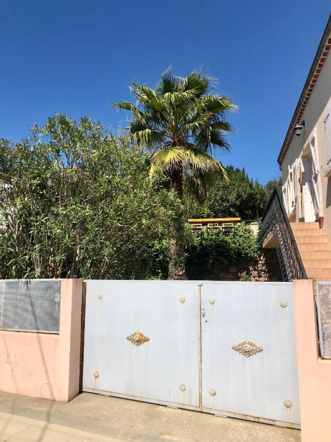 Gite Le Palmier - Perfectly Located Cosy Studio With Private Garden Puissalicon Eksteriør billede