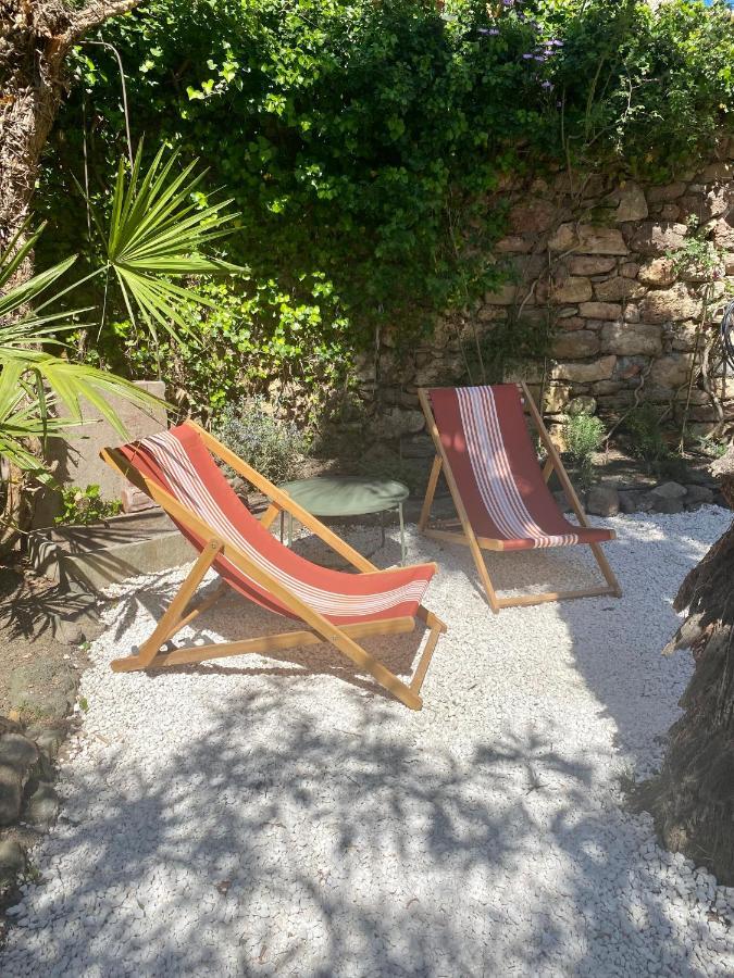Gite Le Palmier - Perfectly Located Cosy Studio With Private Garden Puissalicon Eksteriør billede